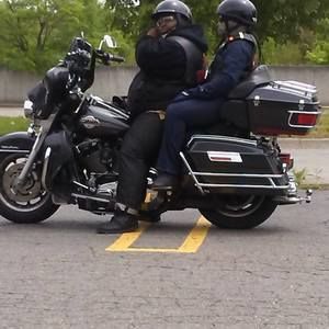 Meet your Posher, Reggie